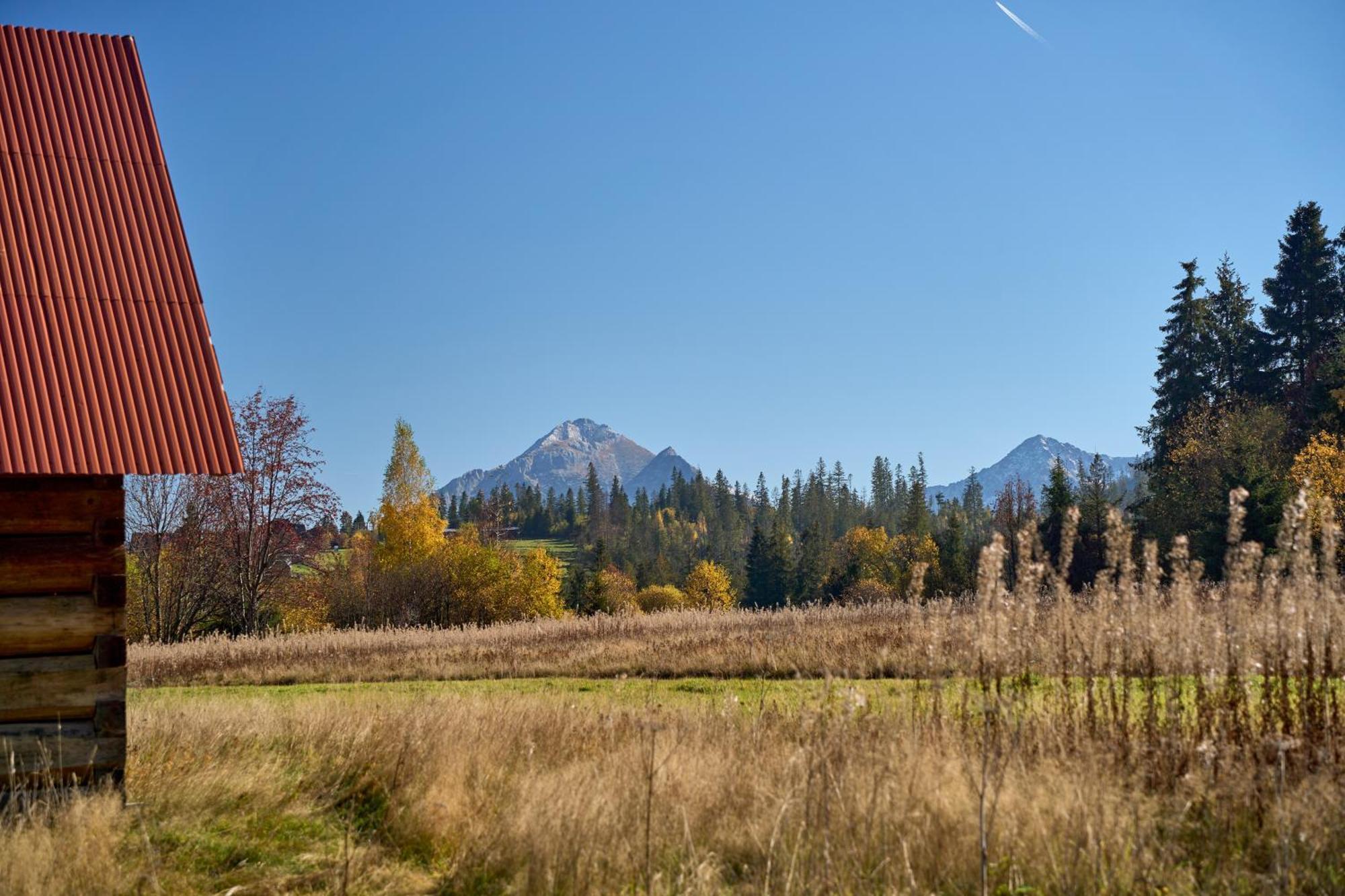 Domek Slebodny Uplaz Zakopane Exterior foto